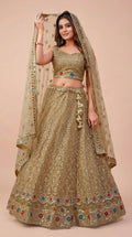 Skin Cream Soft Georgette Net Embroidered Lehenga Choli Set