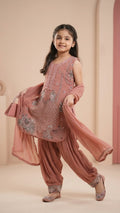 Kids Girls Embroidered Georgette Dress | Festive & Party Wear